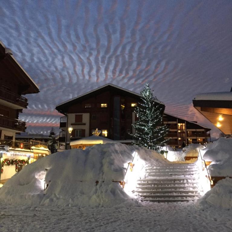 Apartment Eglantine with stunning views of the Valais Peaks - Apartment mit 1 Schlafzimmer - 33