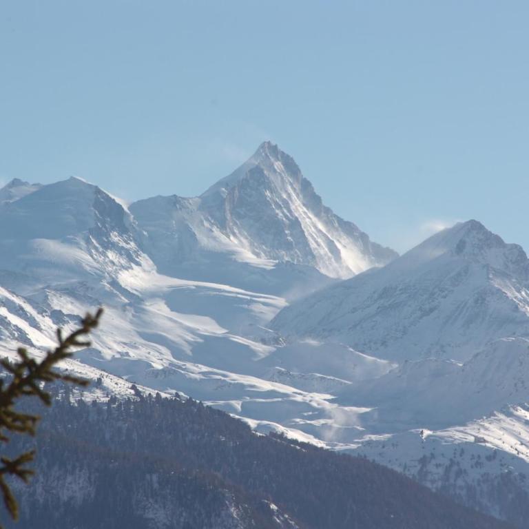 Apartment Eglantine with stunning views of the Valais Peaks - Apartment mit 1 Schlafzimmer - 52