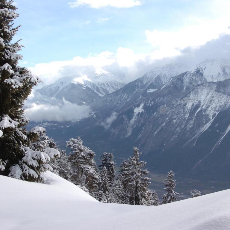 Apartment Eglantine with stunning views of the Valais Peaks - Apartment mit 1 Schlafzimmer - 20