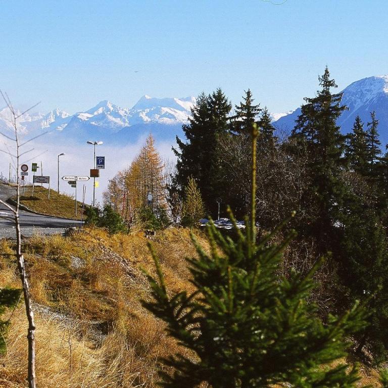 Apartment Eglantine with stunning views of the Valais Peaks - Apartment mit 1 Schlafzimmer - 56