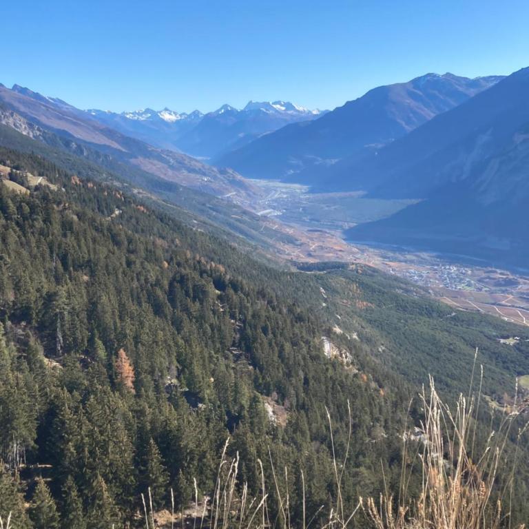 Apartment Eglantine with stunning views of the Valais Peaks - Apartment mit 1 Schlafzimmer - 46