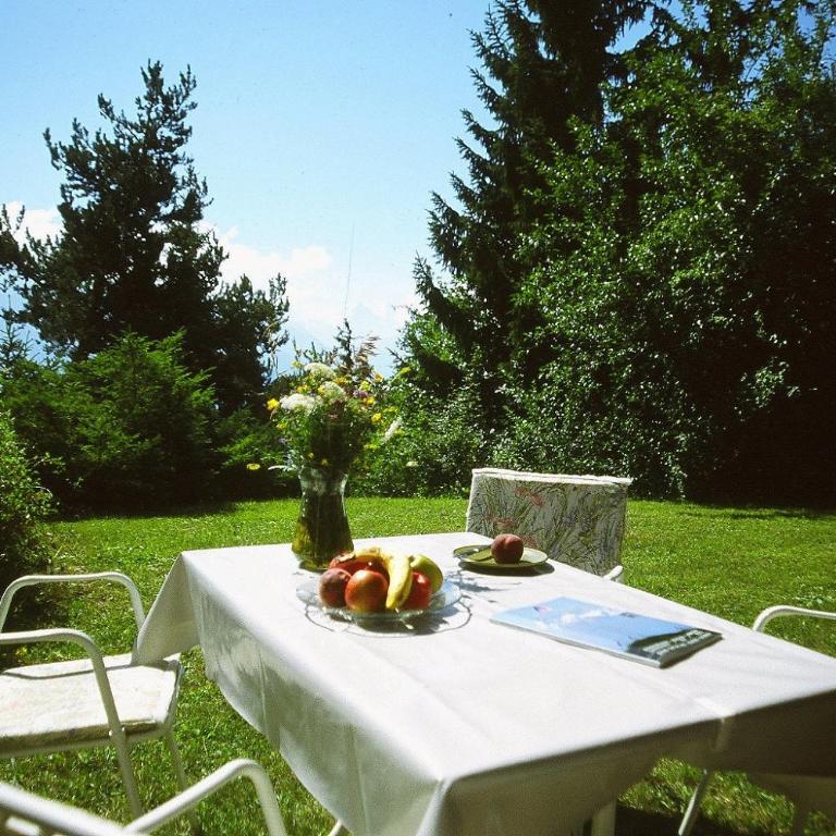 Apartment Eglantine with stunning views of the Valais Peaks - Apartment mit 1 Schlafzimmer - 36