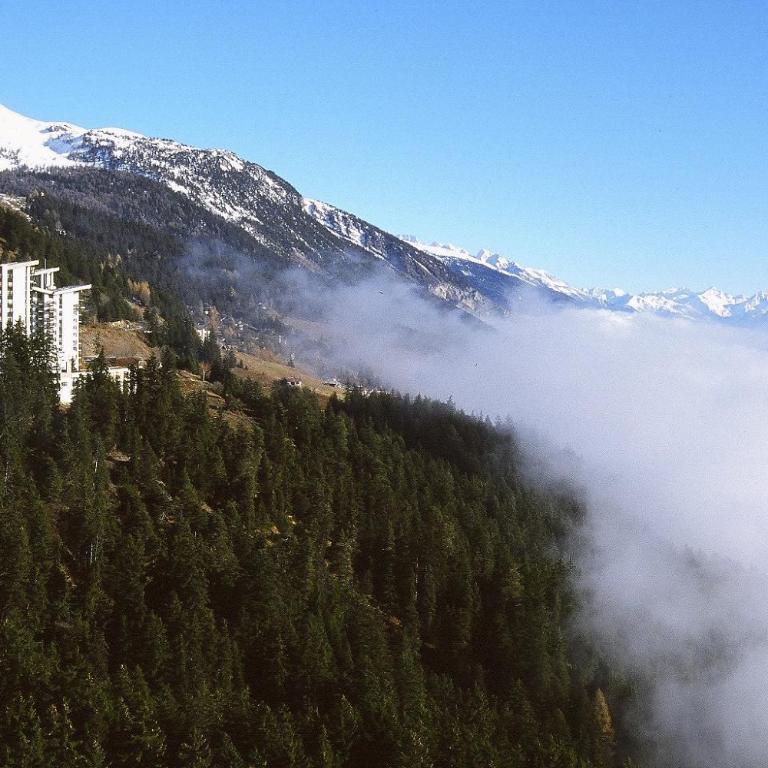 Apartment Eglantine with stunning views of the Valais Peaks - Apartment mit 1 Schlafzimmer - 2