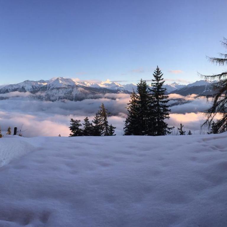 Apartment Eglantine with stunning views of the Valais Peaks - Apartment mit 1 Schlafzimmer - 1