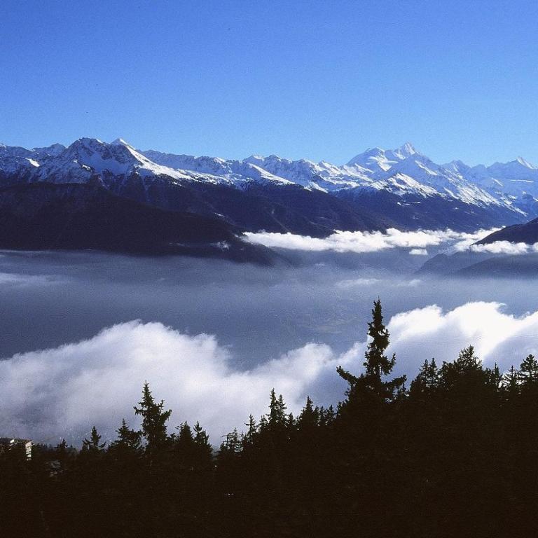 Apartment Eglantine with stunning views of the Valais Peaks - Apartment mit 1 Schlafzimmer - 55