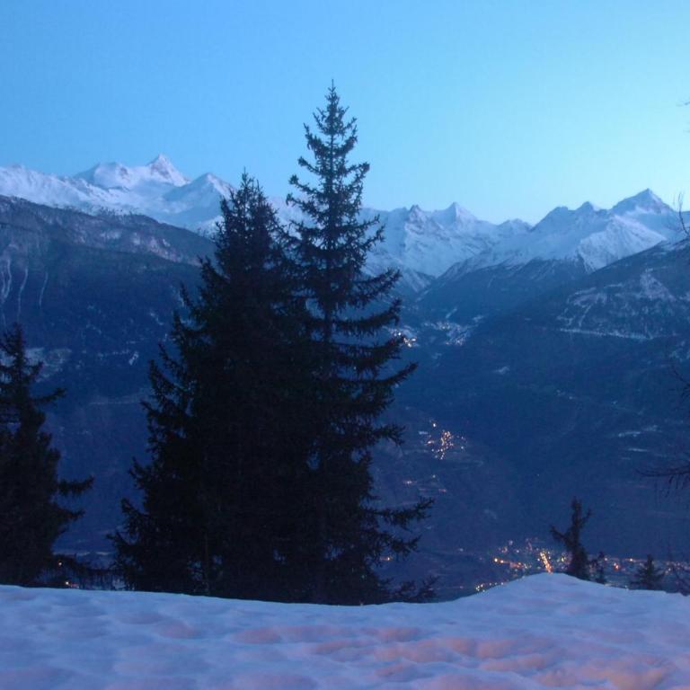 Apartment Eglantine with stunning views of the Valais Peaks - Apartment mit 1 Schlafzimmer - 28