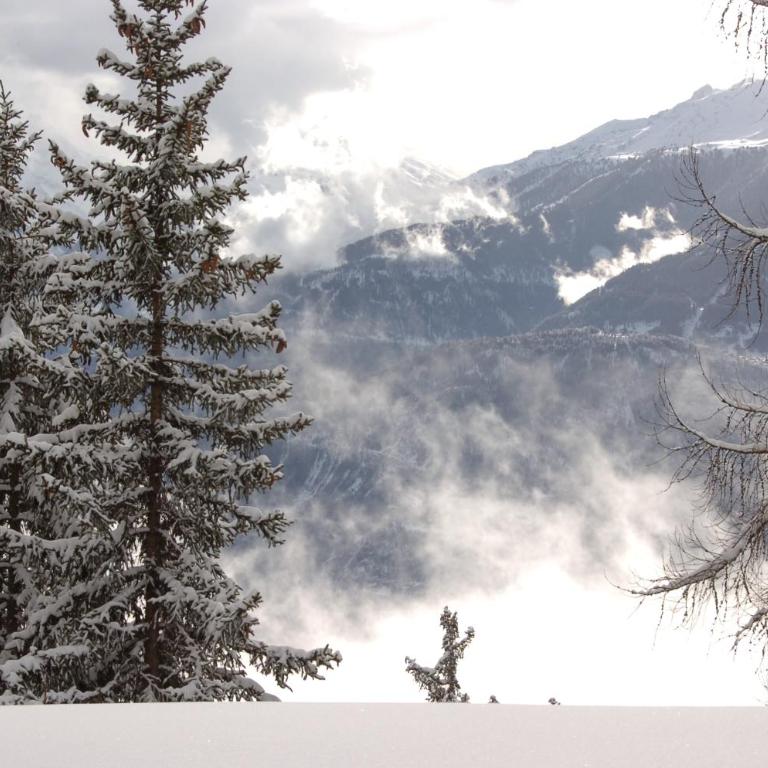 Apartment Eglantine with stunning views of the Valais Peaks - Apartment mit 1 Schlafzimmer - 17