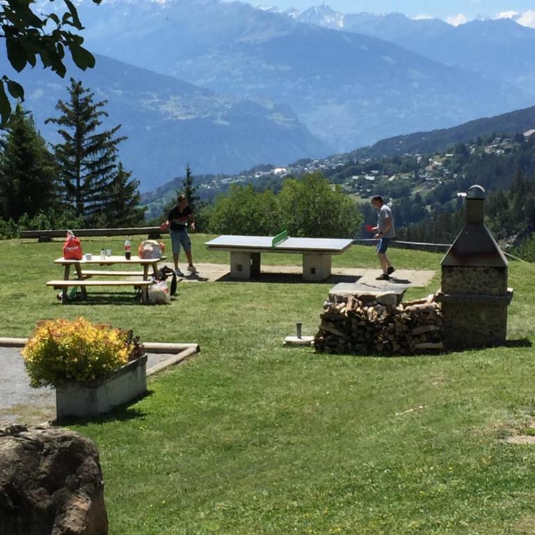 Apartment Eglantine with stunning views of the Valais Peaks - Apartment mit 1 Schlafzimmer - 41