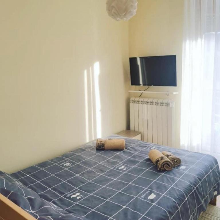 Apartmani Dragišić kalman D5 - Apartman sa 1 Spavaćom Sobom - 13
