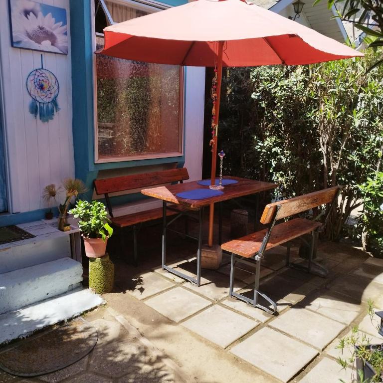 Cabañas Selva Negra - Habitación Doble con vistas a la montaña - 9