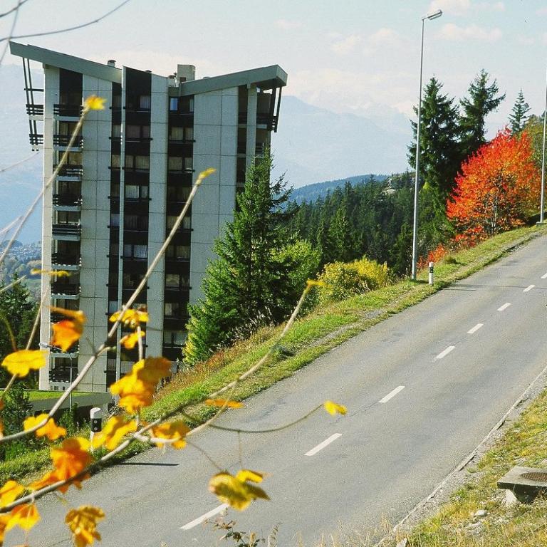 Apartment Eglantine with stunning views of the Valais Peaks - Apartment mit 1 Schlafzimmer - 54