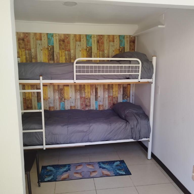 Cabañas Selva Negra - Apartamento - 6
