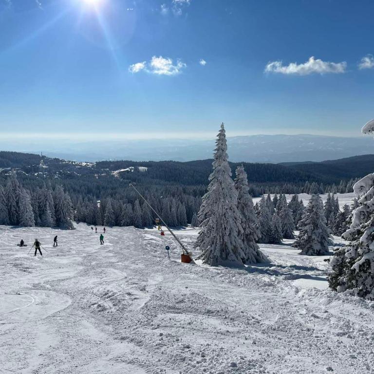 Ski&Spa Milmari L17 - Apartment with Mountain View - 4