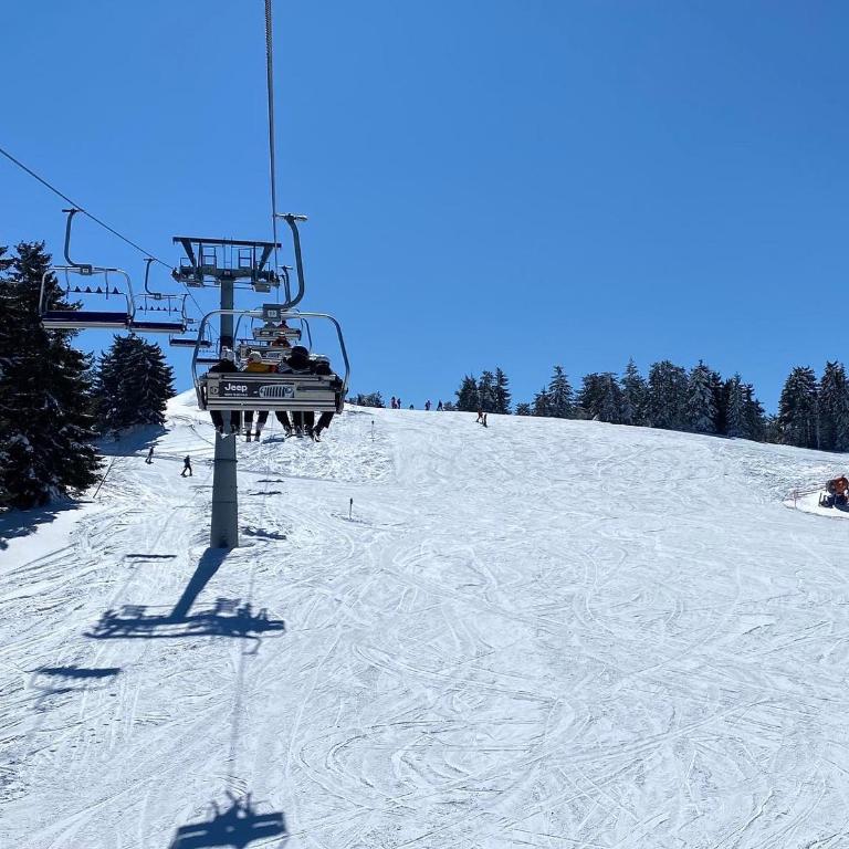 Ski&Spa Milmari L17 - Apartment with Mountain View - 55