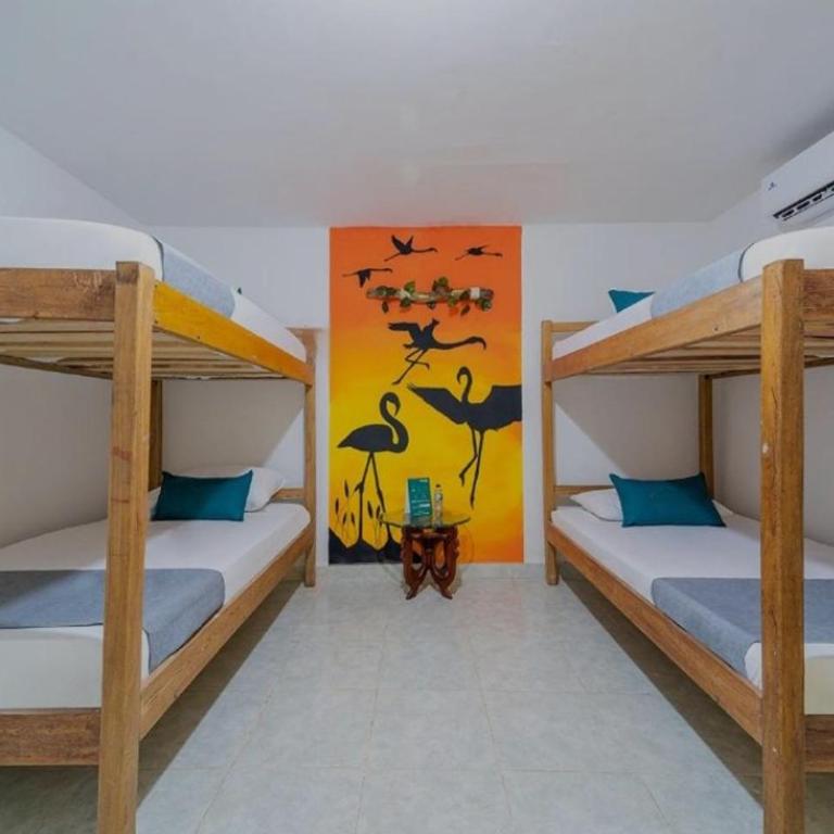 Hostal Casa Tropicalia - Habitación Cuádruple con baño - 2