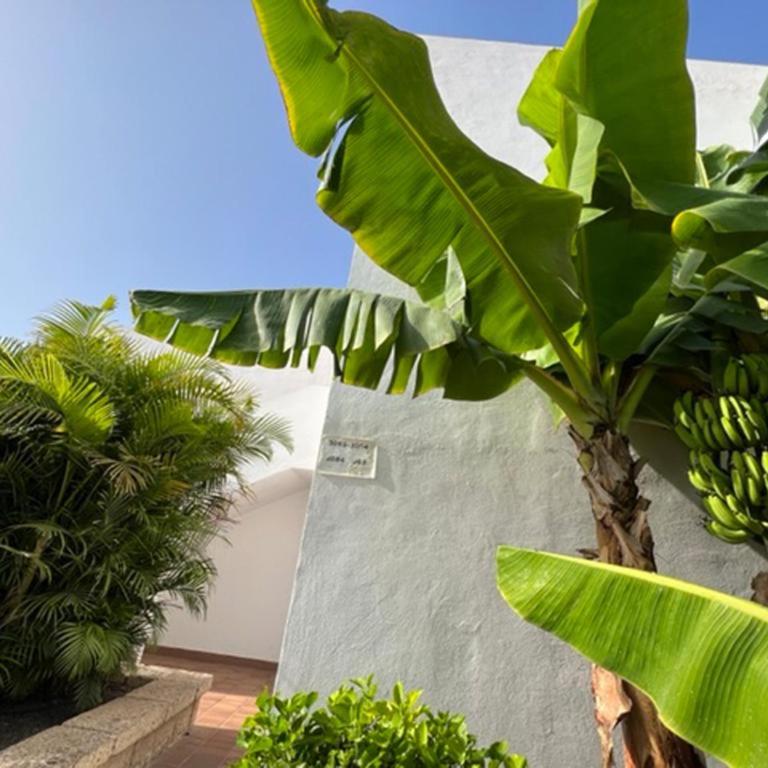 Malibu Ocean Sunset - One-Bedroom Apartment - 4