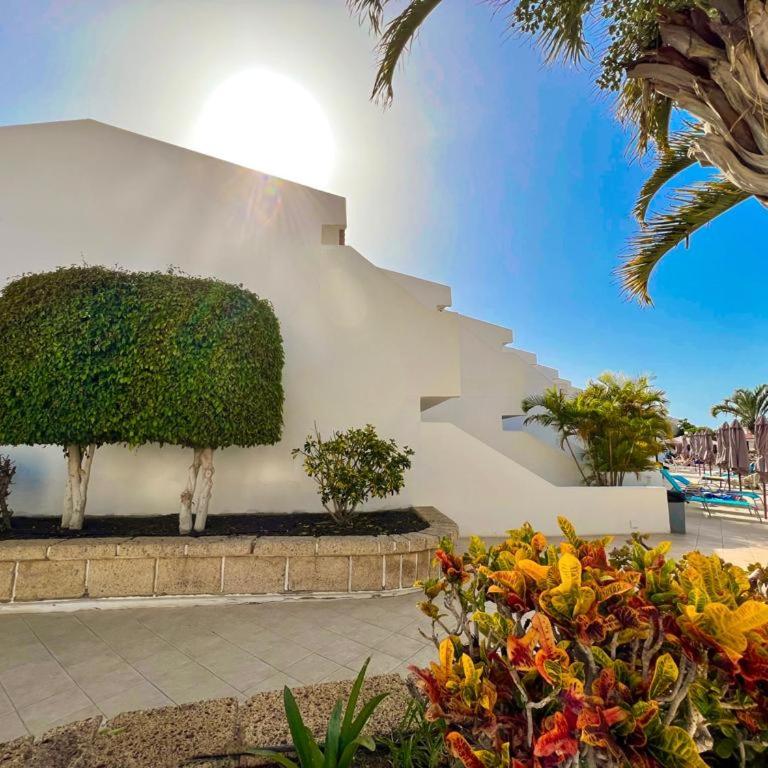 Malibu Ocean Sunset - One-Bedroom Apartment - 10