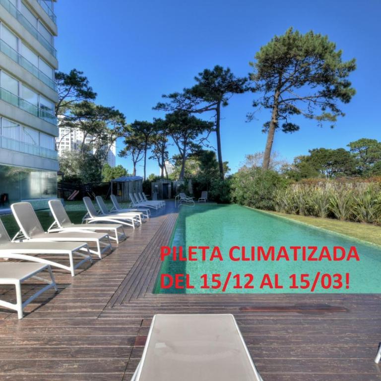 Hermoso Apartamento en Punta del Este, piso alto. - Apartamento de 1 dormitorio - 1