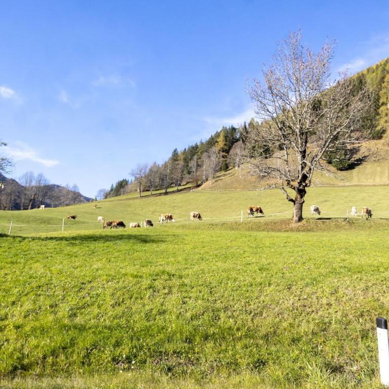 Zentral gelegenes Apartment in Bad Kleinkirchheim - Apartment mit 2 Schlafzimmern - 5