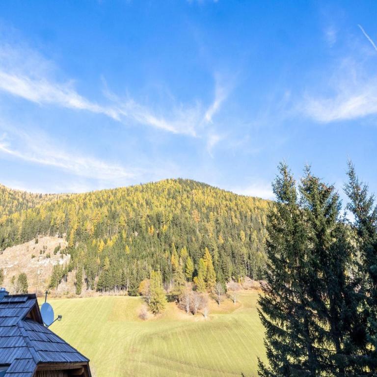 Zentral gelegenes Apartment in Bad Kleinkirchheim - Apartment mit 2 Schlafzimmern - 28