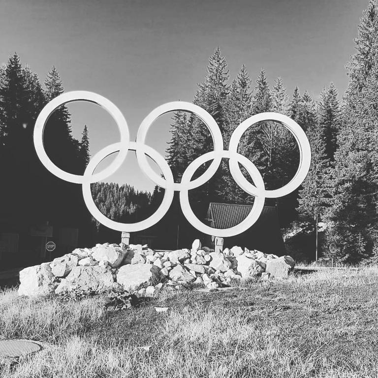 Jahorina A408 Olimpiska KUCA - Apartman sa 1 Spavaćom Sobom - 36