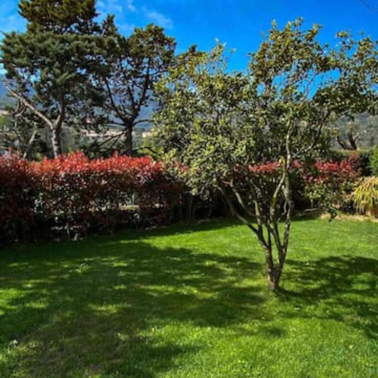 Elegante Villa Giardino + Posteggio privato - Villa con 3 Camere da Letto - 32