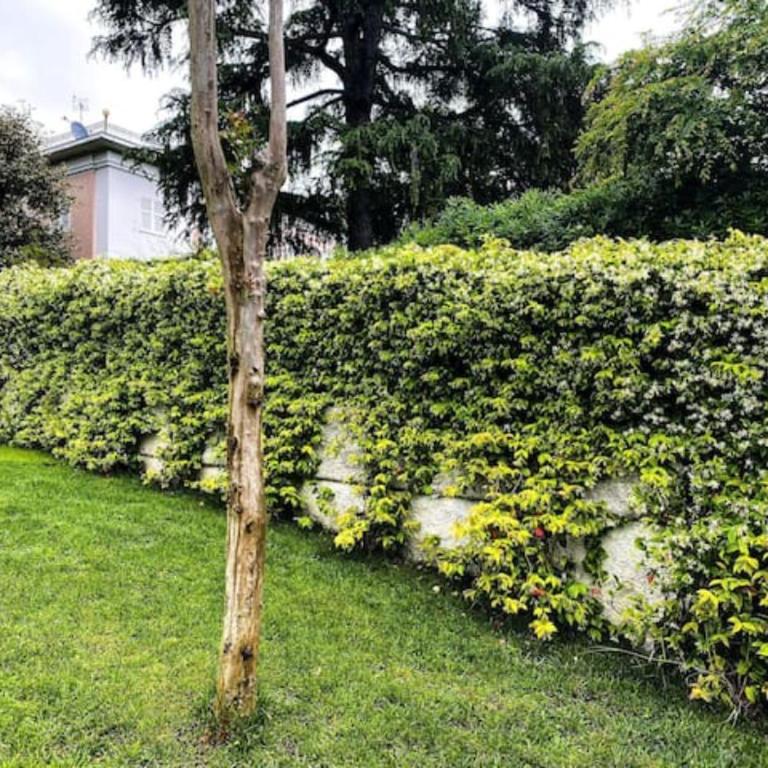 Elegante Villa Giardino + Posteggio privato - Villa con 3 Camere da Letto - 30