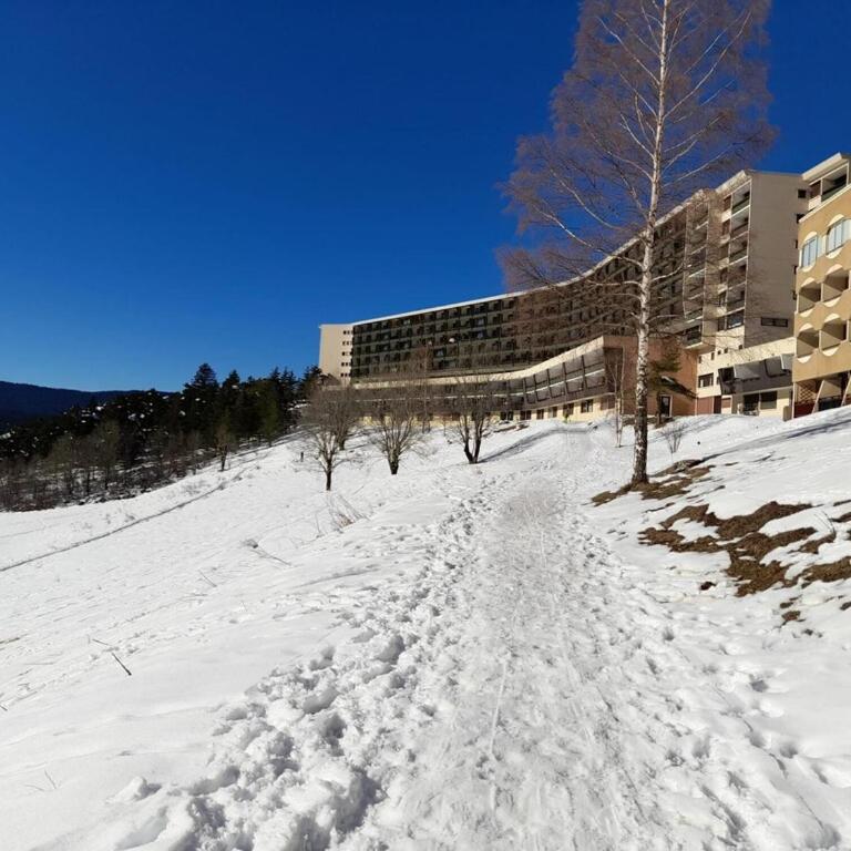 les glovettes Villard de lans - Monolocale con Vista Montagna - 1