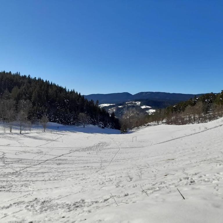 les glovettes Villard de lans - Monolocale con Vista Montagna - 16