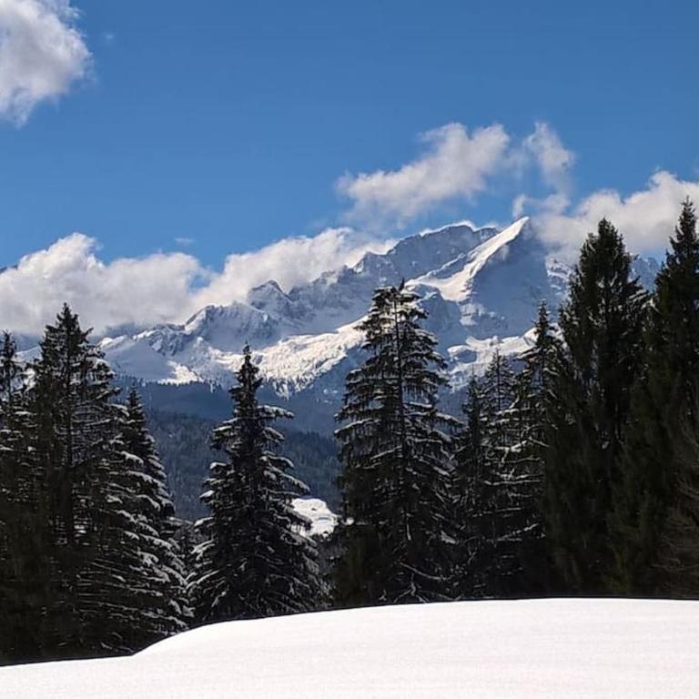 Herberge. 46 - Three-Bedroom Apartment - 49