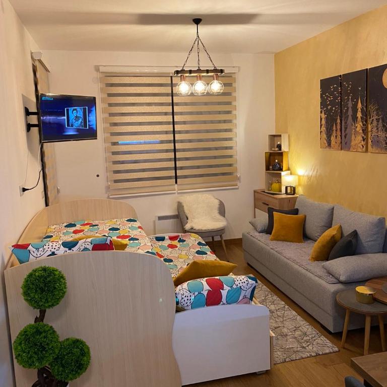 Pahuljica Vila Pekovic Zlatibor - Apartman sa 1 Spavaćom Sobom - 20