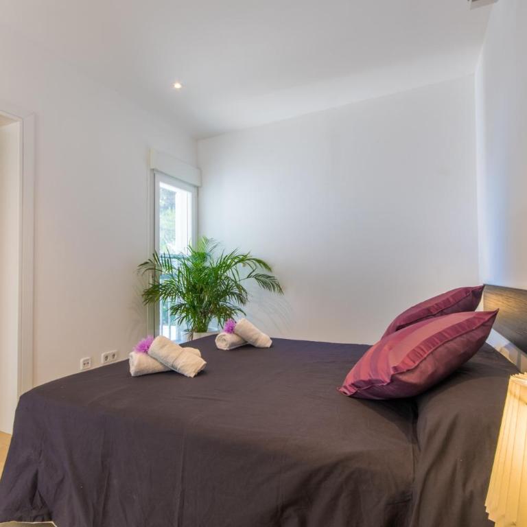 Ideal Property Mallorca - Can Micalo - Casa - 18