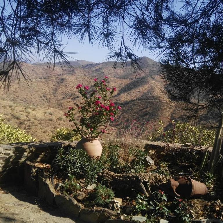 Pinar El Almendra - Casa de 3 dormitorios - 7