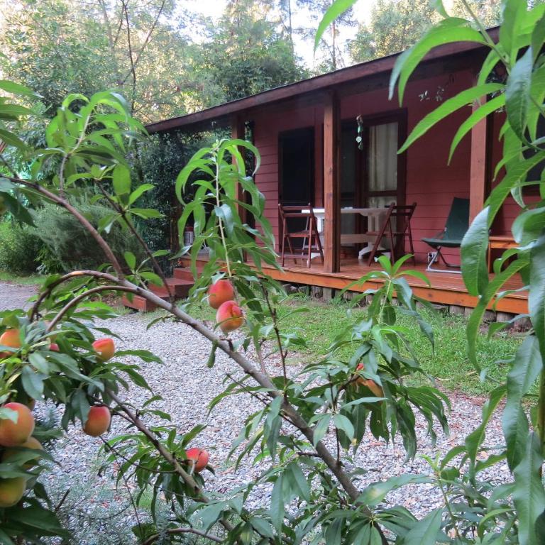 Cabañas Del Potrero - Villa de 1 dormitorio - 18