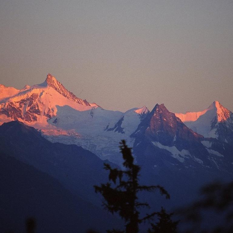 Apartment Eglantine with stunning views of the Valais Peaks - Apartment mit 1 Schlafzimmer - 50