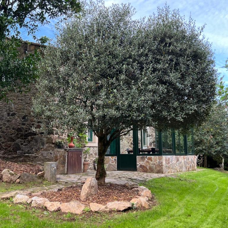 Rural Lambre by Miramar Stays - Casa de 3 dormitorios - 28