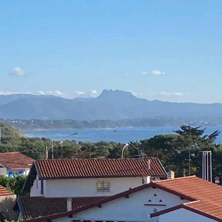 Milady Ocean View - Studio - Vue sur Mer - 1