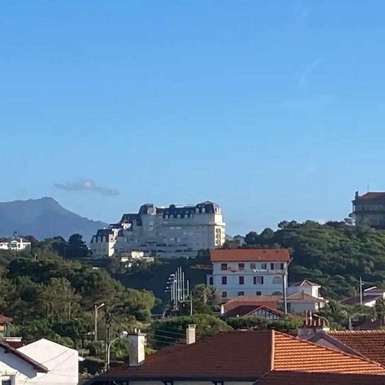 Milady Ocean View - Studio - Vue sur Mer - 18