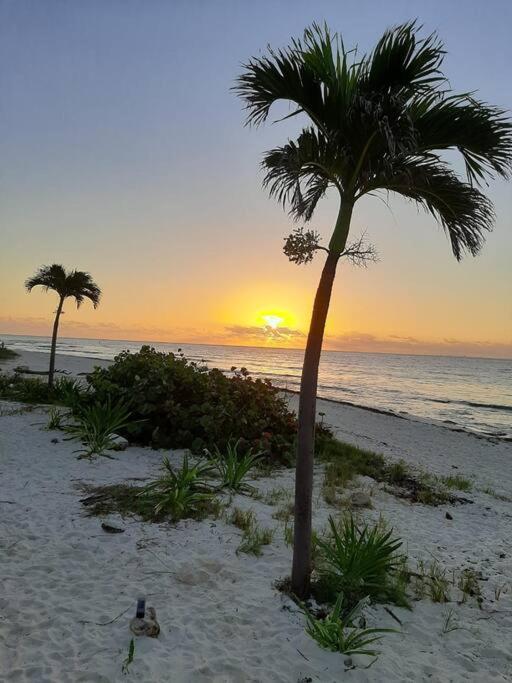 Precioso Depto equipado 5 pers, playa del carmen - Two-Room Apartment - 20