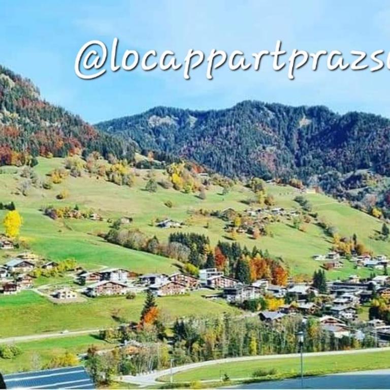 Le Marat Praz sur Arly - Appartement 2 Chambres - 2