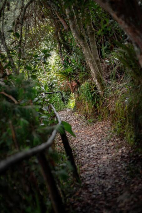 Cabaña Colibri naturaleza vista Laguna de la Cocha - Three-Bedroom House - 24