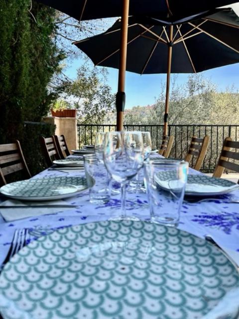 Entre Nice et Monaco grande Villa avec piscine privée 12 personnes - Villa - 56