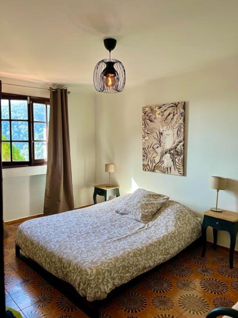 Entre Nice et Monaco grande Villa avec piscine privée 12 personnes - Villa - 50