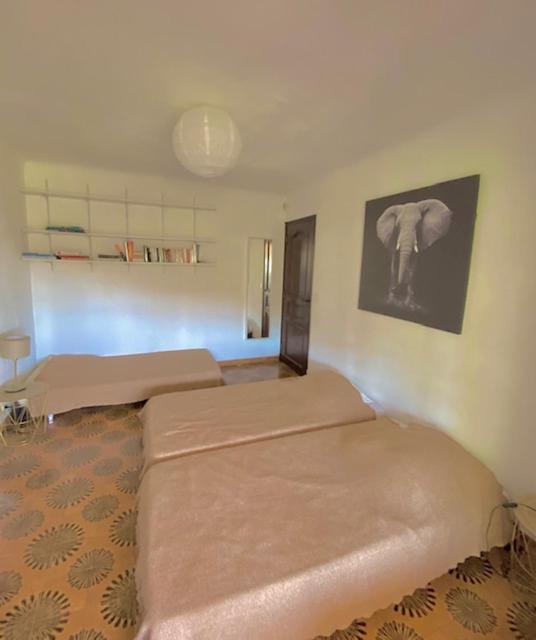 Entre Nice et Monaco grande Villa avec piscine privée 12 personnes - Villa - 54