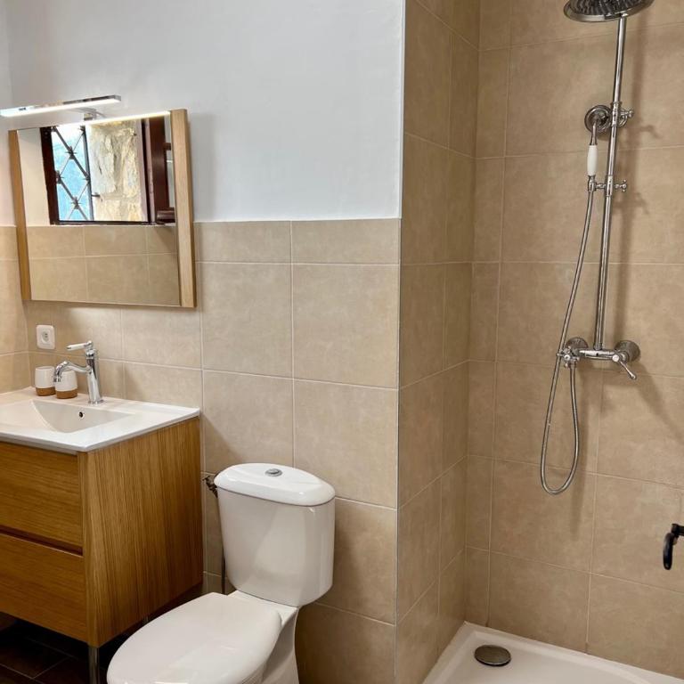 Entre Nice et Monaco grande Villa avec piscine privée 12 personnes - Villa - 58