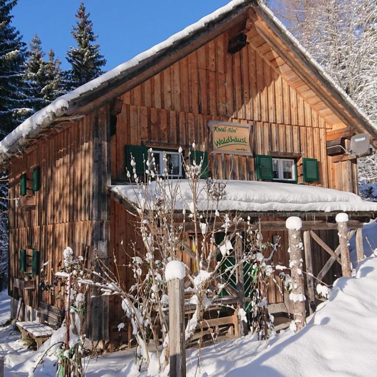 Knödl-Alm Waldhäusl - Haus mit 1 Schlafzimmer - 29