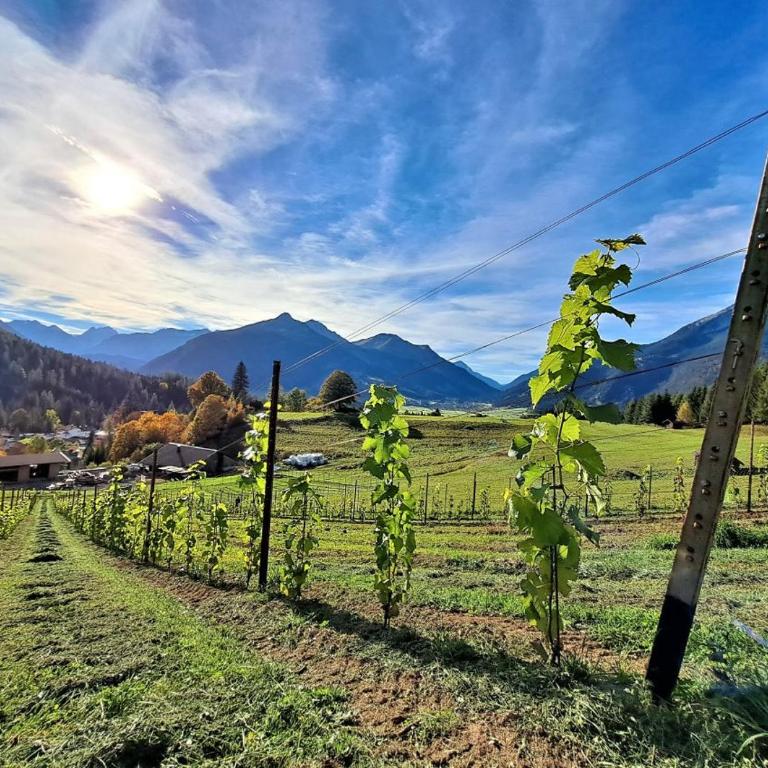 Das Hof Chalet - Chalet - 22