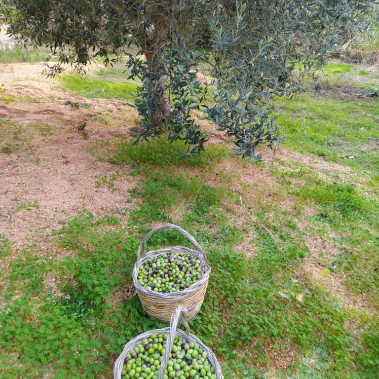 CasaAntonietta - Appartamento con Vista Mare - 56