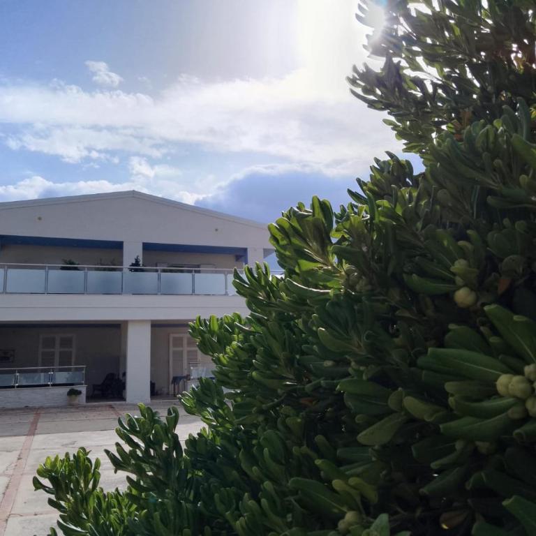 CasaAntonietta - Appartamento con Vista Mare - 43