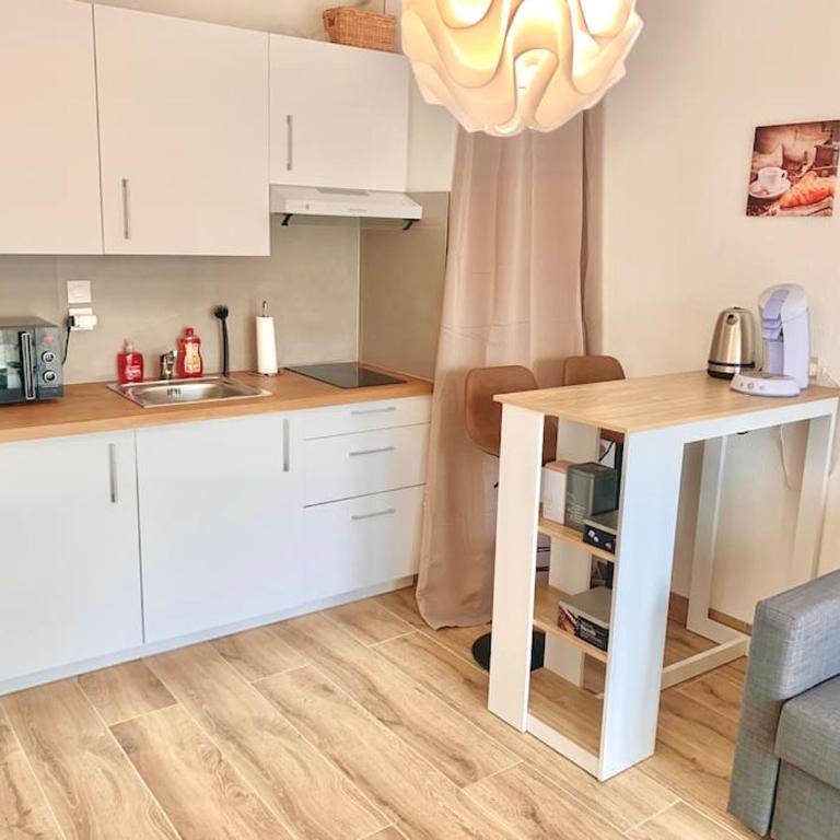 EMbnb - Studio Near Geneva - S204,4 - Appartement 1 Chambre - 24